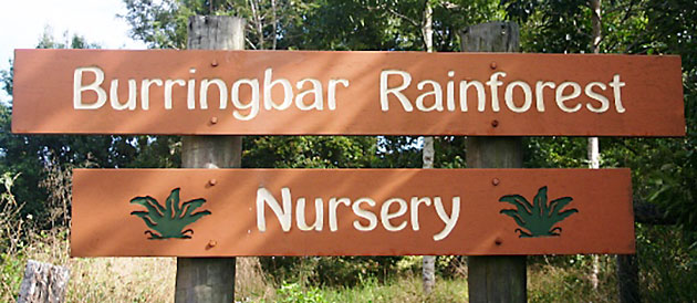 Burringbar Rainforest Nursery