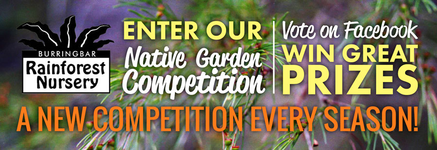 Burringbar Rainforest Nursery Native Garden Competition